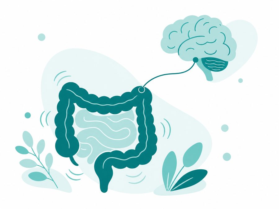 Irritable Bowel Syndrome (IBS) illustration